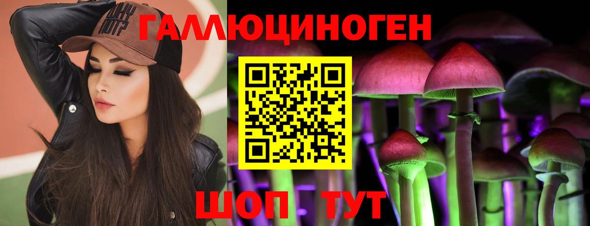 Галлюциногенные грибы MAGIC MUSHROOMS  Псилоцибиновые грибы Psilocybe  купить наркотики цена  Вход с VPN  Тобольск 